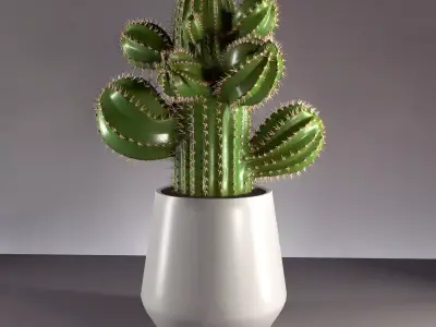cactus in pot 3D model