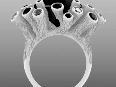 The Ring Coral 3D print model