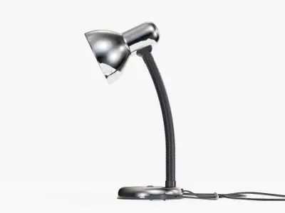 Desk Lamp With Flexible Arm 3D model