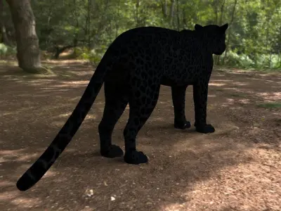 black panther Low-poly 3D model purchase