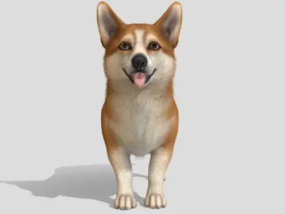 Dog - Corgi Low-poly 3D model