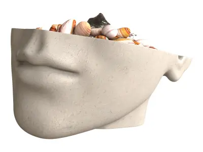 Face Fountain 3D model