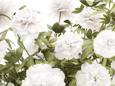 Beautiful lush formal bouquet white flowers peony vase decor 3D model