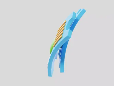 Tennis Gloves 3D model