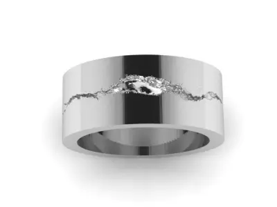 Ring with a Fault 3D print model