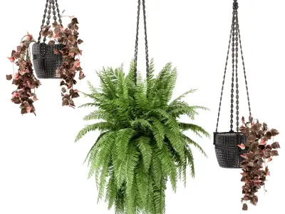 Indoor Plants in rusty Concrete Pot with Macrame - Set 29  3D model