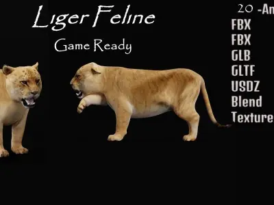Liger Hybrid Feline 3D model
