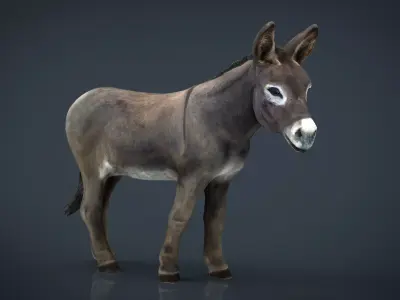 Realistic Donkey Low-poly 3D model