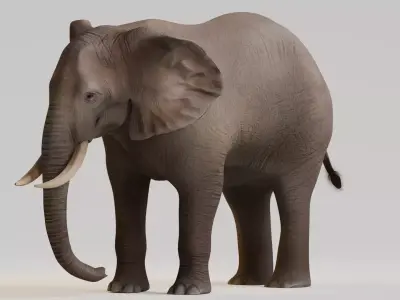 Realistic Animals Savannah - African Elephant Low-poly 3D model