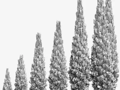 Thuja - Set of 6 models 3D model