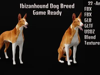 Ibizan Hound Dig 3D model