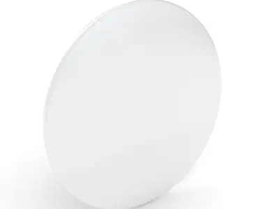 Blank Campaign Button 3D model