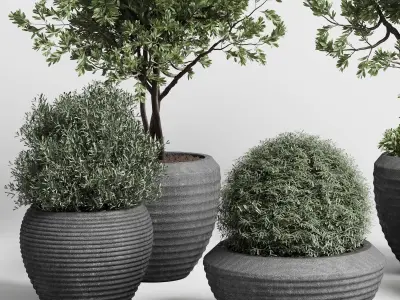 outdoor plant set 152 plant tree grass vase dirty concrete Low-poly 3D model