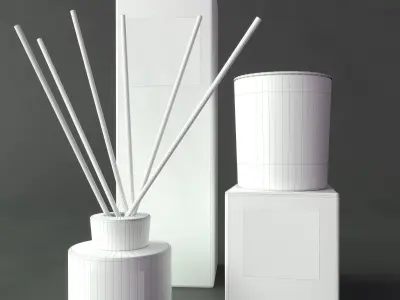 Decorative set diffuser with gold sticks and box 3D model