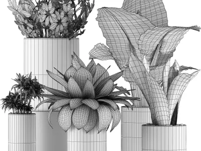 Plants Collection 41 3D model