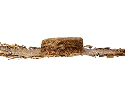 balinese straw wicker hat bamboo woven wall decoration boho  3D model