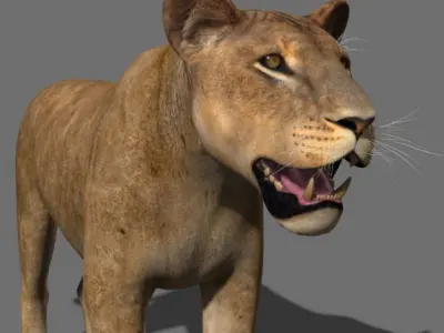 The Ultimate Lioness - 3d model 3D model