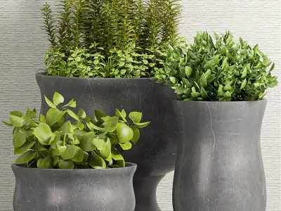 Decorative plant set-39 3D model