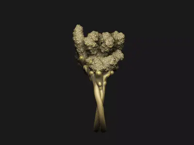 Coral abstract fantasy organic aqua underwater sea ocean  3D print model