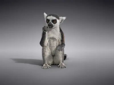 Young Lemurs Animation - VFX Grace 3D model