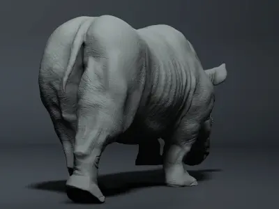 Realistic Rhinoceros High-poly  3D model