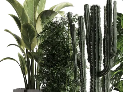 Indoor outdoor plant set 334 dirty wooden and concrete box Low-poly 3D model