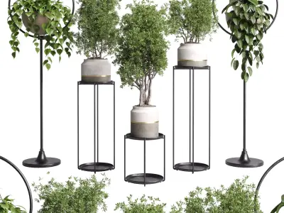 pot plant standing and hanging pot - wall plant set 386 Low-poly 3D model