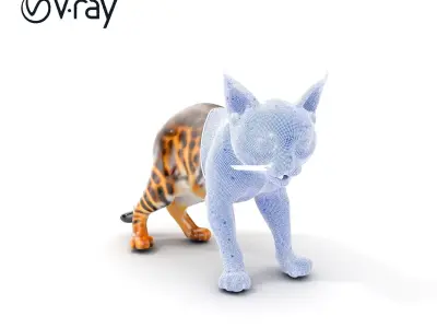 Realistic Spotted Bengal Cat Model Pack Low-poly 3D model