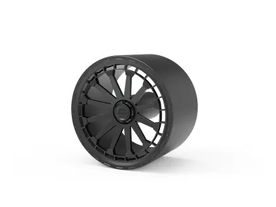 BLACK RHINO Raid 3D print model