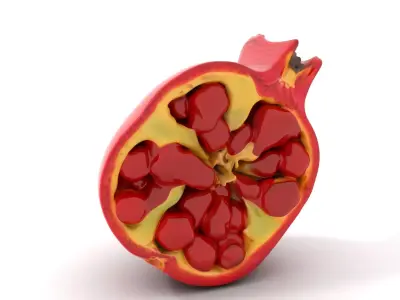 Vibrant Pomegranate model pack Low-poly 3D model