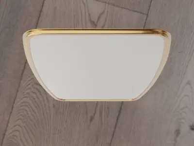 Elsa Curved Rectangular Mirror 3D model