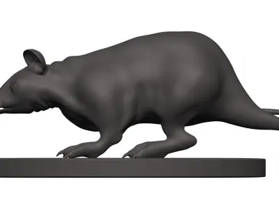 Mouse figurine of kangaroo 3D model