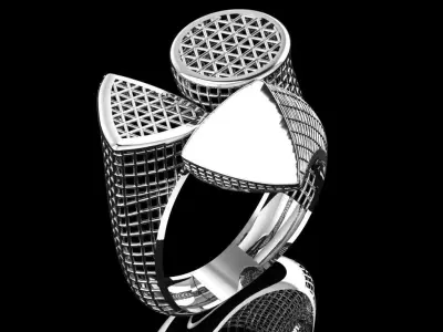 Fusion ring  3D print model