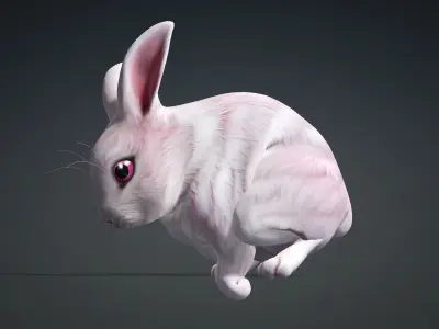 Rabbit-A1 3D model
