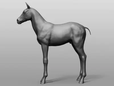 Domestic Baby animal collection 3D model