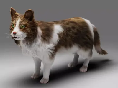 Fur Cat Calico V03 Rigged Low-poly 3D model