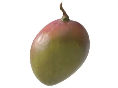 Mango 3D model