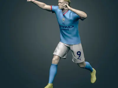 Erling Haaland 3D Printable 3 3D print model