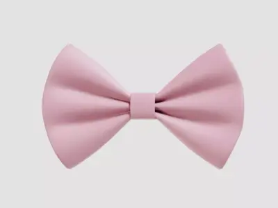 Pink bow 3d model Low-poly 3D model