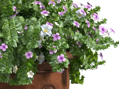 A flower bed in a classic vase pot flowerpot for decoration 3D model