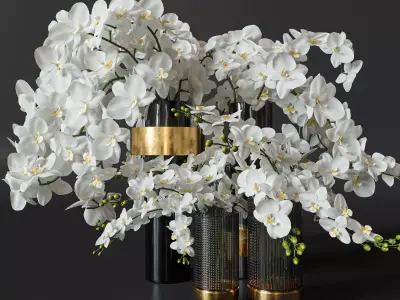 Flower Set 009 Orchids 3D model