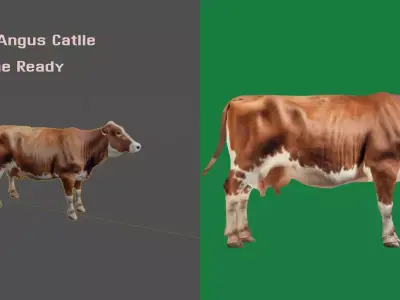 Red Angus Beef Cattle 3D model