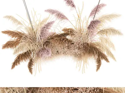 Hanging decor of their dried pampas grass 200 3D model