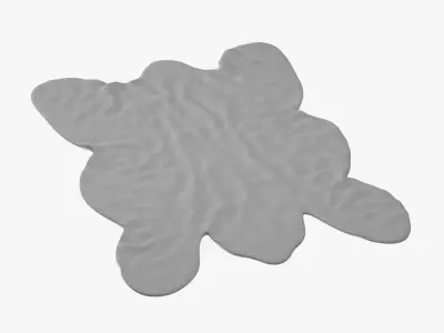 Big brown bear rug 3D model