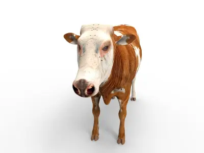 3D Cow Rigged cattle  Low-poly 3D model