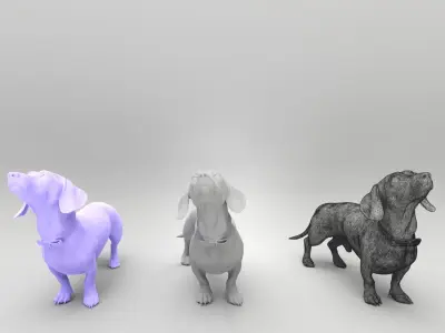 Playful dachshund dog 35 Low-poly 3D model