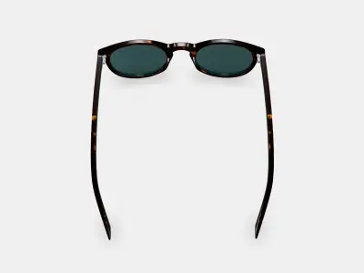 Haskell Sunglasses in Whiskey Tortoise 3D model