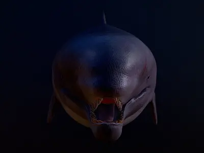 Livyatan Melvillei  3D model purchase
