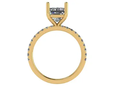 Emerald shape solitaire ring with diamonds on shank 3D print model