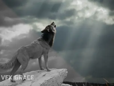 Wolf  UE Character Asset 3D model